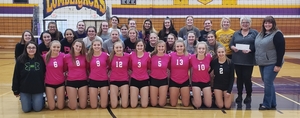 Ladysmith Volleyball
